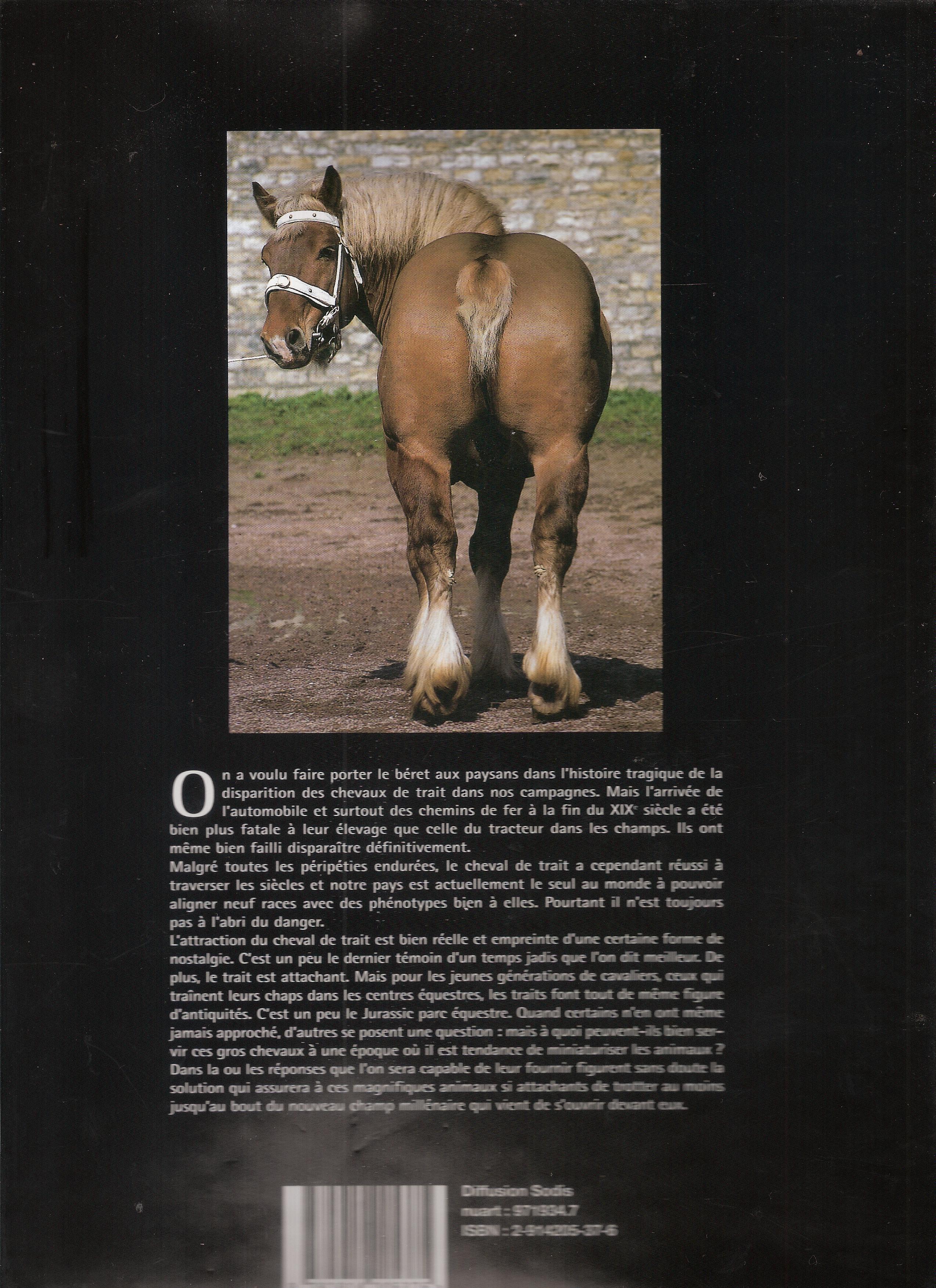 chevaux de trait 2