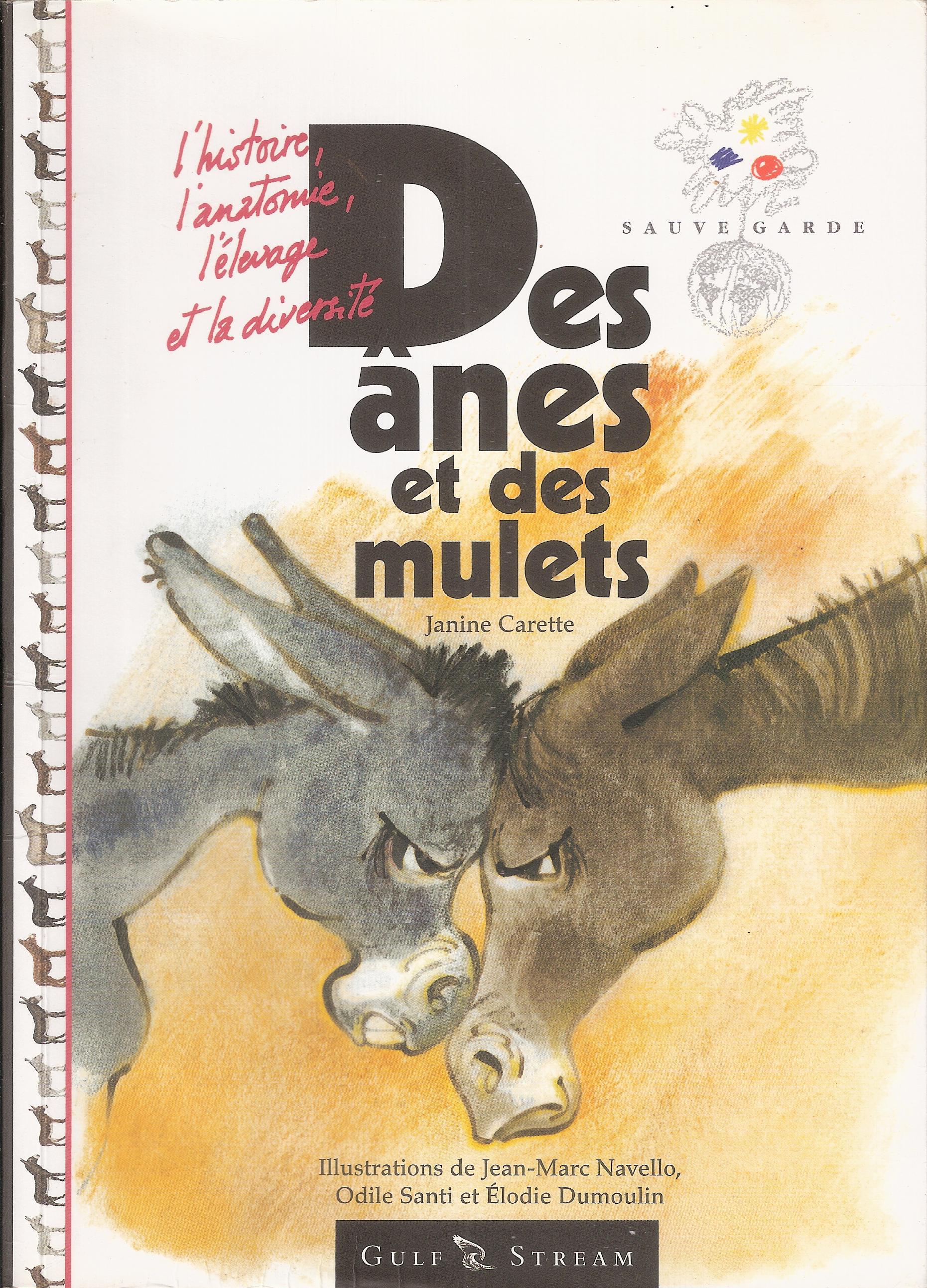 Couverture de  DES ÂNES 