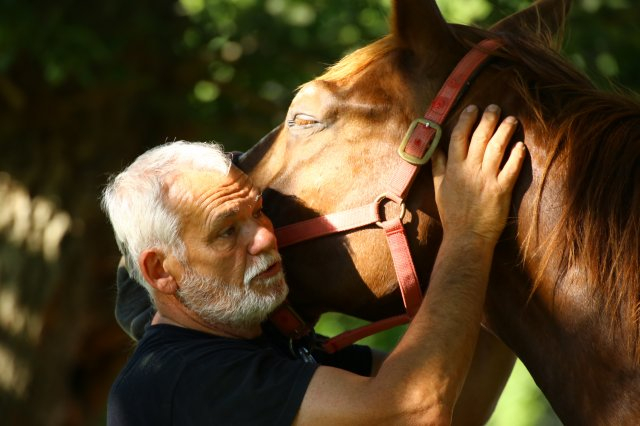 phoca_thumb_l_img_7305