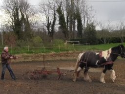 Herser / décroûter la carrière !