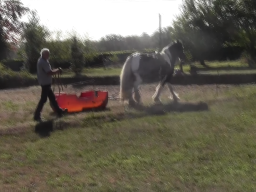 CHEVAUX &raquo; ECHO &raquo; Septembre 2026