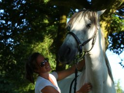 Juillet 2016