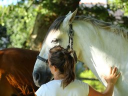 Juillet 2016